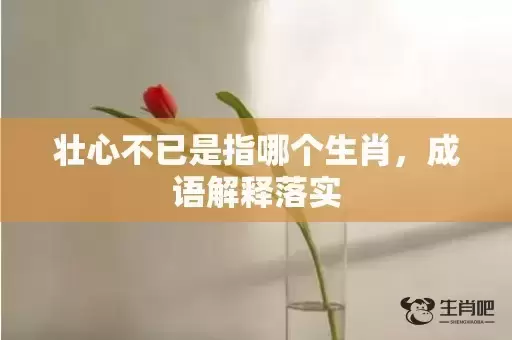 壮心不已是指哪个生肖，成语解释落实