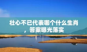 壮心不已代表哪个什么生肖，答案曝光落实