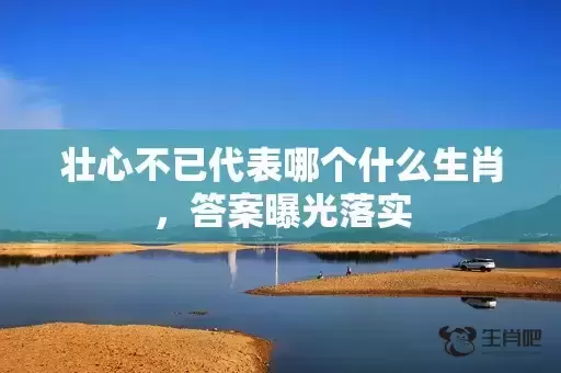 壮心不已代表哪个什么生肖，答案曝光落实