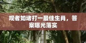 观者如堵打一最佳生肖，答案曝光落实