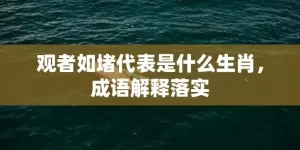 观者如堵代表是什么生肖，成语解释落实