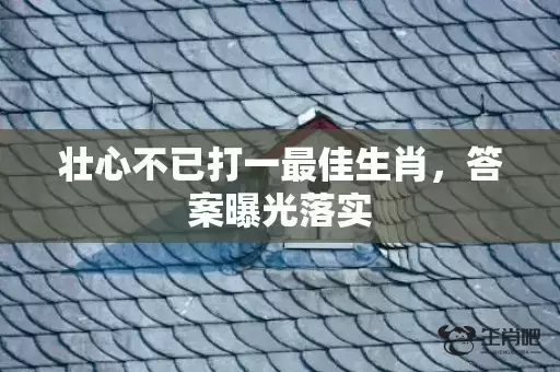 壮心不已打一最佳生肖，答案曝光落实