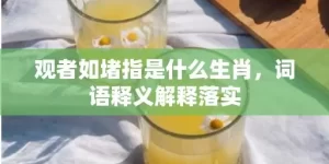 观者如堵指是什么生肖，词语释义解释落实