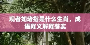 观者如堵指是什么生肖，成语释义解释落实