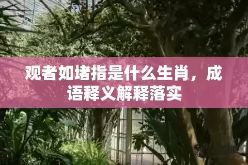 观者如堵指是什么生肖，成语释义解释落实