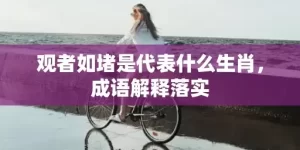 观者如堵是代表什么生肖，成语解释落实