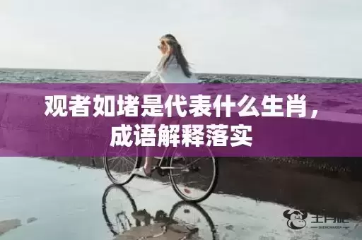 观者如堵是代表什么生肖，成语解释落实