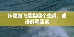 步履如飞是指哪个生肖，成语解释落实