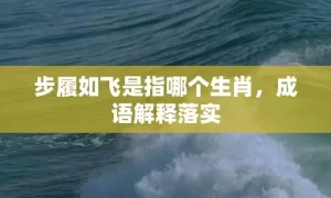 步履如飞是指哪个生肖，成语解释落实