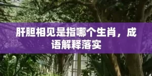 肝胆相见是指哪个生肖，成语解释落实