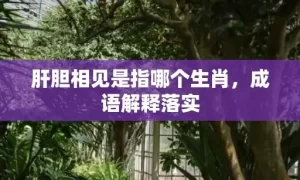 肝胆相见是指哪个生肖，成语解释落实