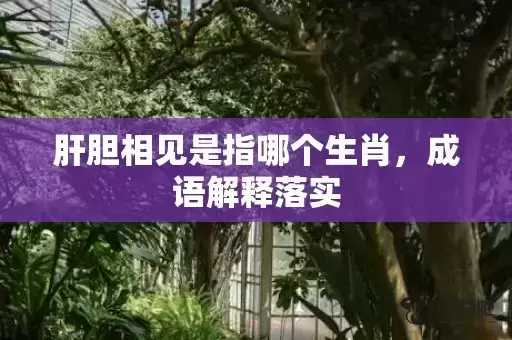 肝胆相见是指哪个生肖，成语解释落实