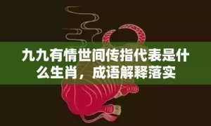 九九有情世间传指代表是什么生肖，成语解释落实