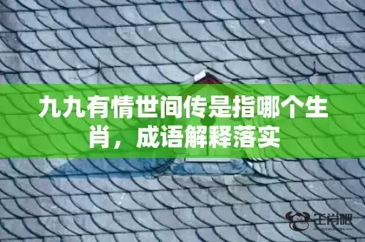 九九有情世间传是指哪个生肖,成语解释落实 九九有情世间传是指哪个生肖,成语解释落实