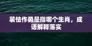 装怯作勇是指哪个生肖，成语解释落实