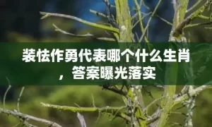 装怯作勇代表哪个什么生肖，答案曝光落实