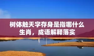 树体触天字存身是指哪什么生肖，成语解释落实