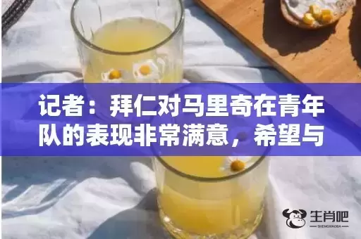 记者：拜仁对马里奇在青年队的表现非常满意，希望与他续约