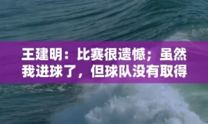 王建明：比赛很遗憾；虽然我进球了，但球队没有取得胜利