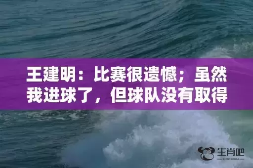王建明：比赛很遗憾；虽然我进球了，但球队没有取得胜利