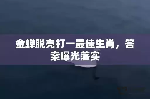 金蝉脱壳打一最佳生肖,答案曝光落实 金蝉脱壳打一最佳生肖,答案曝光落实