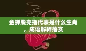 金蝉脱壳指代表是什么生肖，成语解释落实