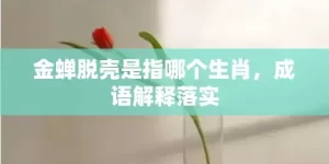 金蝉脱壳是指哪个生肖，成语解释落实