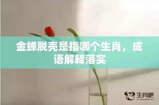 金蝉脱壳是指哪个生肖，成语解释落实