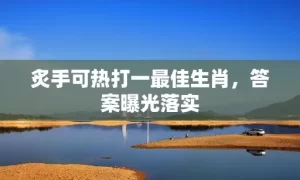 炙手可热打一最佳生肖，答案曝光落实