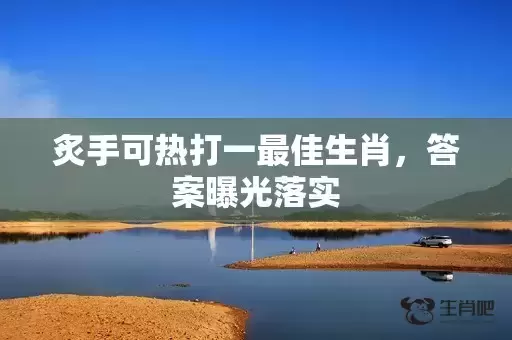 炙手可热打一最佳生肖，答案曝光落实