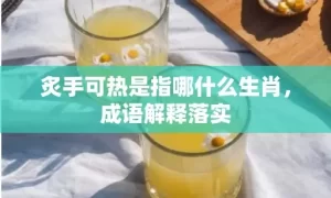 炙手可热是指哪什么生肖，成语解释落实