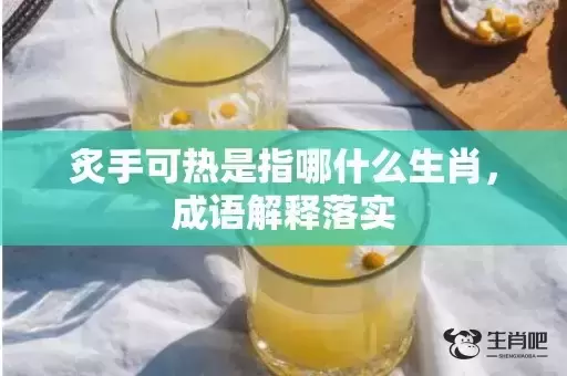 炙手可热是指哪什么生肖，成语解释落实
