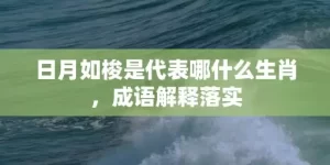 日月如梭是代表哪什么生肖，成语解释落实