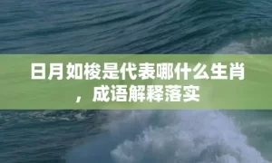 日月如梭是代表哪什么生肖，成语解释落实