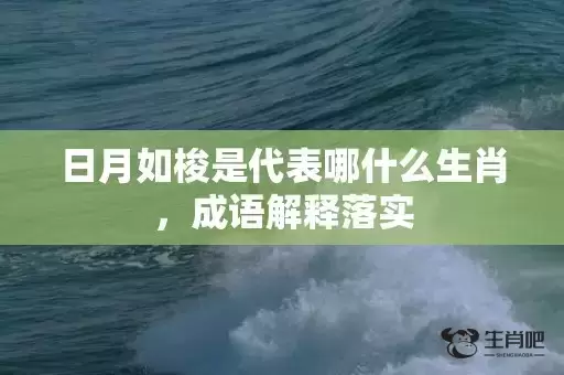 日月如梭是代表哪什么生肖，成语解释落实