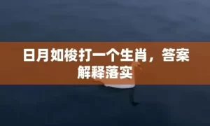 日月如梭打一个生肖，答案解释落实