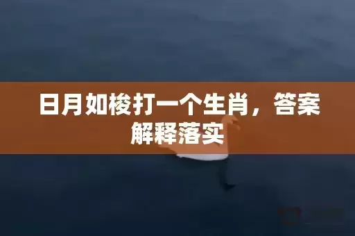 日月如梭打一个生肖，答案解释落实
