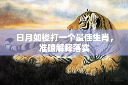 日月如梭打一个最佳生肖，准确解释落实