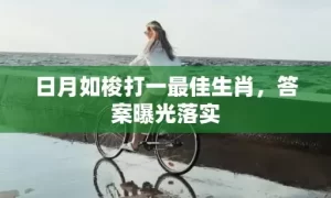 日月如梭打一最佳生肖，答案曝光落实