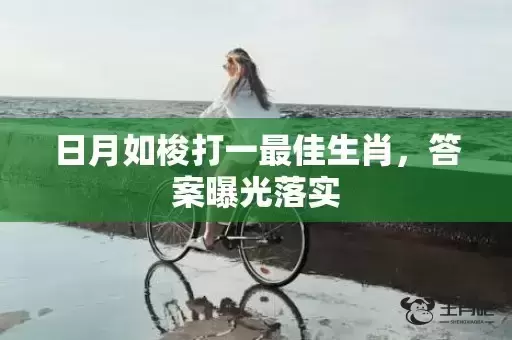 日月如梭打一最佳生肖,答案曝光落实 日月如梭打一最佳生肖,答案曝光落实