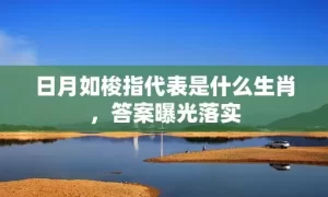 日月如梭指代表是什么生肖，答案曝光落实