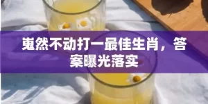 嵬然不动打一最佳生肖，答案曝光落实