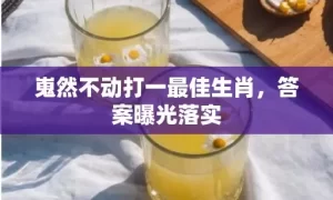 嵬然不动打一最佳生肖，答案曝光落实