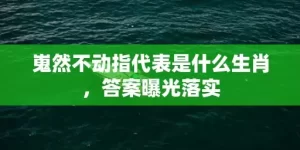 嵬然不动指代表是什么生肖，答案曝光落实