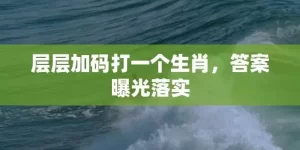 层层加码打一个生肖，答案曝光落实