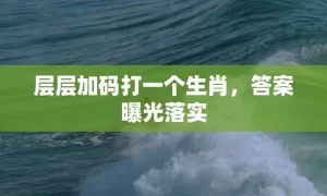 层层加码打一个生肖，答案曝光落实