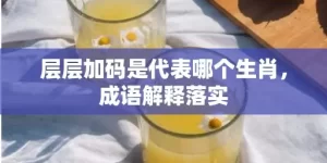 层层加码是代表哪个生肖，成语解释落实