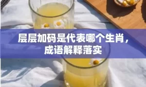 层层加码是代表哪个生肖，成语解释落实