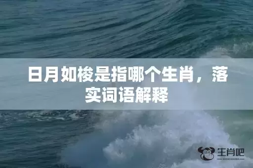 日月如梭是指哪个生肖，落实词语解释