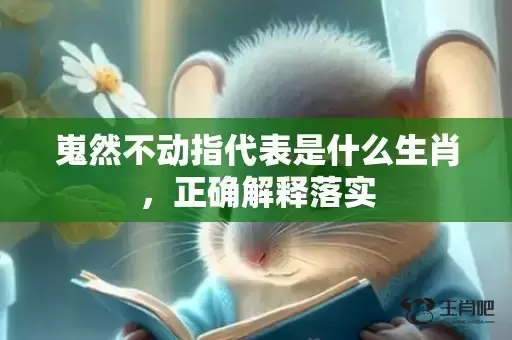嵬然不动指代表是什么生肖，正确解释落实